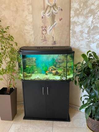 Дома для отпуска Дом в Аркадии Одесса Дом с 1 спальней-3